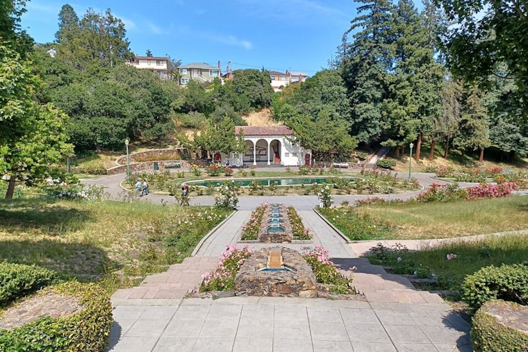 51 Rose Bushes Stolen from Oakland's Historic Morcom Rose Garden, Community Rallies in Response