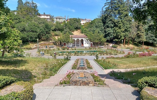 51 Rose Bushes Stolen from Oakland's Historic Morcom Rose Garden, Community Rallies in Response