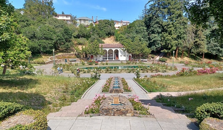 51 Rose Bushes Stolen from Oakland's Historic Morcom Rose Garden, Community Rallies in Response