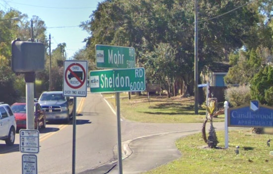 6-Year-Old Girl Killed, Family Injured in Tragic Tampa Traffic Incident