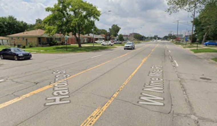 71-Year-Old Disabled Veteran Fatally Struck in Oak Park Hit-and-Run, Police Seek Dark-Colored Sedan