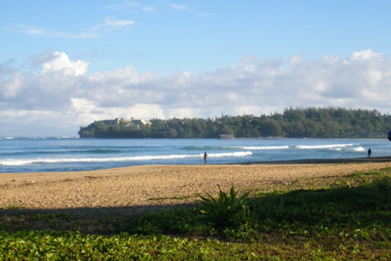 8-Foot Shark Halts Hanalei Bay, No Swimming Until The All-Clear