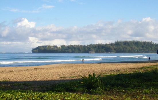 8-Foot Shark Halts Hanalei Bay, No Swimming Until The All-Clear