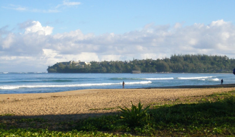 8-Foot Shark Halts Hanalei Bay, No Swimming Until The All-Clear