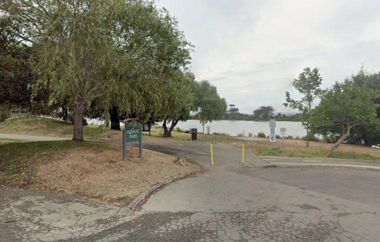 Berkeley Dad Shielding Toddler Pummeled At Dreamland Playground; Woman, 49, Charged