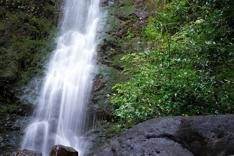 Hiker Skewered On Lulumahu Falls Trail In Nuuanu, Cut Free In Muddy Rescue