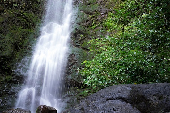 Hiker Skewered On Lulumahu Falls Trail In Nuuanu, Cut Free In Muddy Rescue