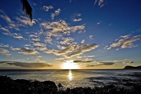 Paradise Cove Shock As Kapolei Luau Set To Go Dark In 2025