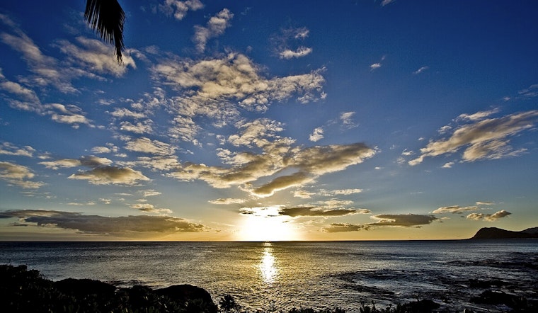 Paradise Cove Shock As Kapolei Luau Set To Go Dark In 2025