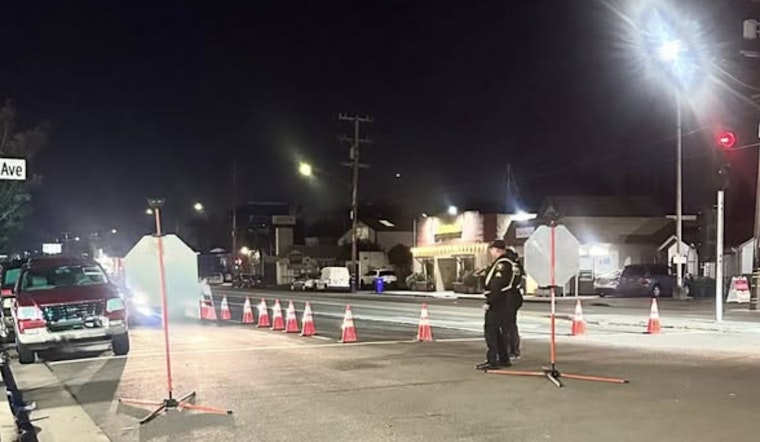 Alameda County Sheriff's Office Nets DUI Arrest and Multiple Citations in Overnight Checkpoint Operation