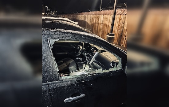 Alert Neighbor's Call Leads to Arrest of Suspected Car Burglar in Elk Grove