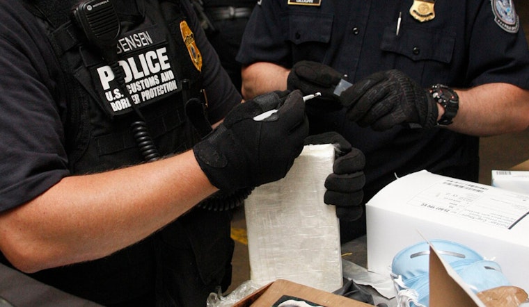 Alleged Kidnapping Investigation Leads to 644 Pounds of Illegal Cannabis Seized in Brooklyn, Three Arrested