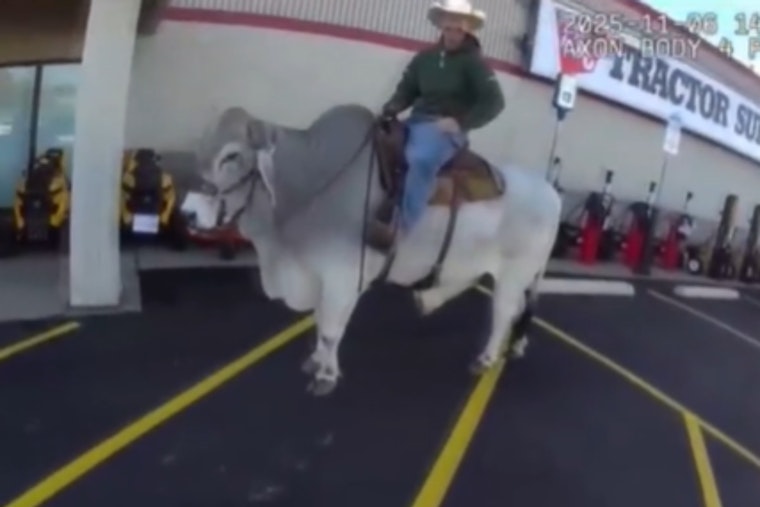 Alliance Police Officer's Bull Ride in Walmart Parking Lot Showcases Lighter Side of Policing in Ohio