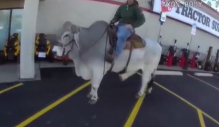 Alliance Police Officer's Bull Ride in Walmart Parking Lot Showcases Lighter Side of Policing in Ohio
