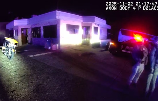 Alliance Police Raid Unveils Illegal Booze and Firearms at After-hours Bar, Four Arrested on Multiple Charges