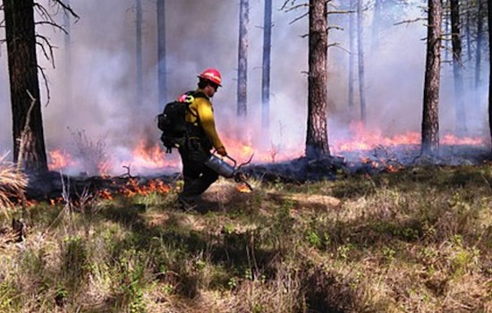 Apache-Sitgreaves National Forests to Initiate Controlled Burns Near Forest Lakes and Heber-Overgaard to Mitigate Wildfire Risk