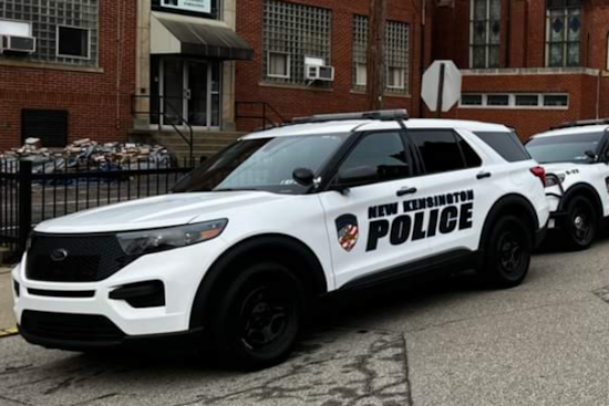 Arnold Woman Charged After Two Children Injured Falling from Car at Memorial Park