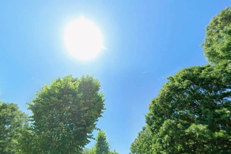 Atlanta Braces for Chilly Winds as Brisk and Sunny Weather Brings Warmer Days Ahead