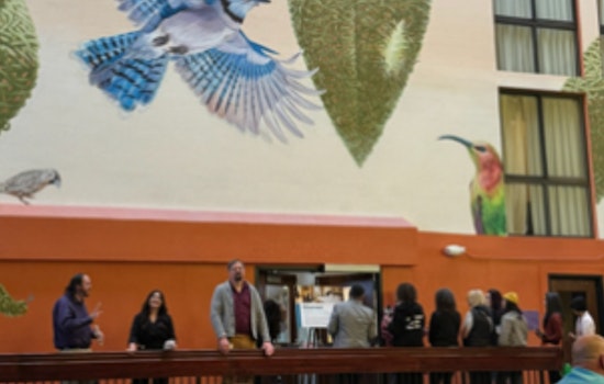 Aurora Unveils Innovative Homelessness Solution with New Regional Navigation Campus