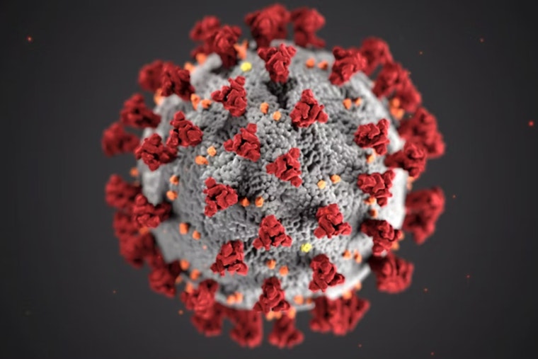 Avian Influenza Outbreak Expands in Michigan with New Cases in Ottawa, Monroe, and St. Clair Counties