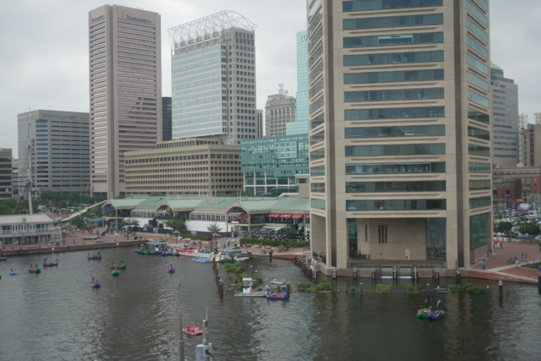 Baltimore Braces for Rainy Friday as Weather Service Forecasts Light Showers and Mild Weekend Temperatures
