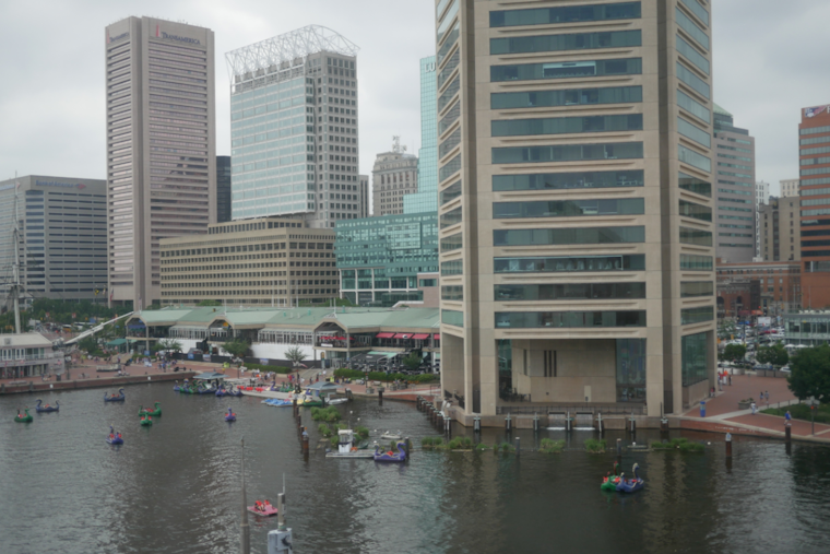 Baltimore Braces for Weather Whiplash: Rain, Wind, and Temperature Drop Forecasted Ahead of Thanksgiving