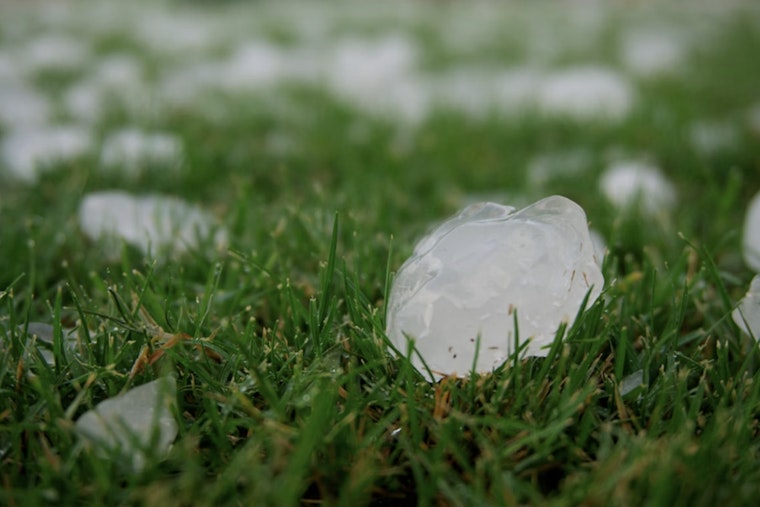 Baseball-Size Hail Kills Thousands Of Birds In Corpus Christi Region