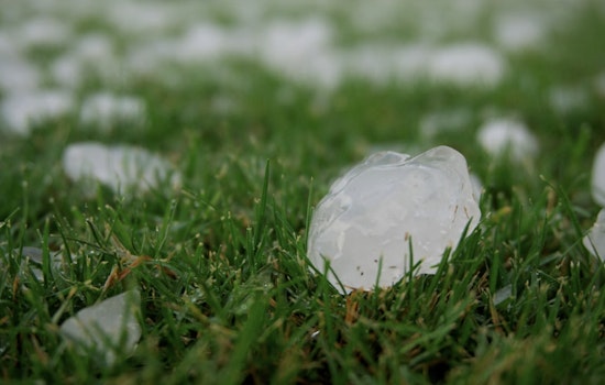 Baseball-Size Hail Kills Thousands Of Birds In Corpus Christi Region