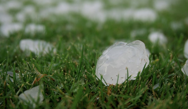 Baseball-Size Hail Kills Thousands Of Birds In Corpus Christi Region