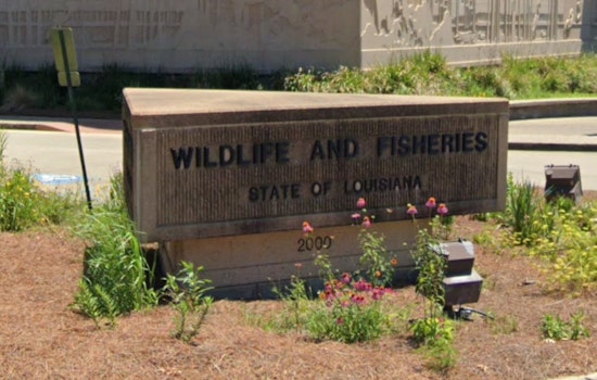 Baton Rouge Set to Host Louisiana Wildlife and Fisheries Commission Meeting on December 4
