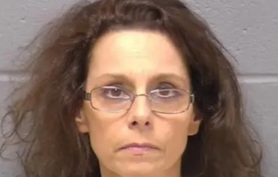 Bears Game Shooting: Joliet Wife’s Case Crawls Toward Plea Hearing