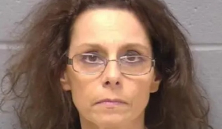 Bears Game Shooting: Joliet Wife’s Case Crawls Toward Plea Hearing