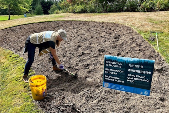 Bellevue Invites Nature Lovers to Free Naturalist Training: Applications Now Open for Environmental Stewardship Program