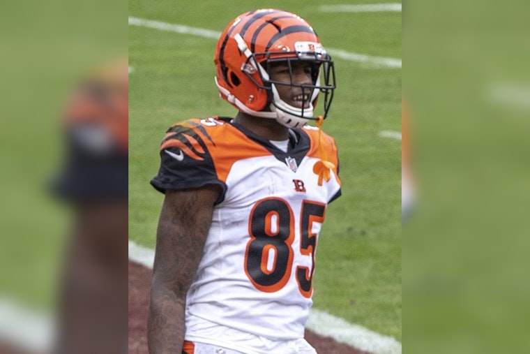 Bengals' Offensive Woes Deepen as Tee Higgins Enters Concussion Protocol After Loss to Patriots
