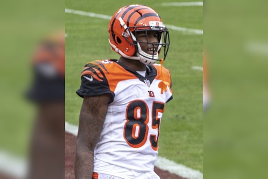 Bengals' Offensive Woes Deepen as Tee Higgins Enters Concussion Protocol After Loss to Patriots