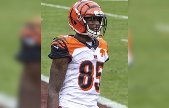 Bengals' Offensive Woes Deepen as Tee Higgins Enters Concussion Protocol After Loss to Patriots