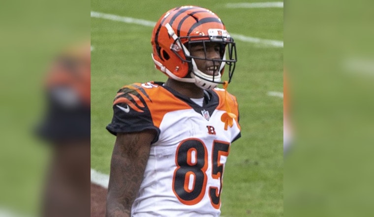 Bengals' Offensive Woes Deepen as Tee Higgins Enters Concussion Protocol After Loss to Patriots