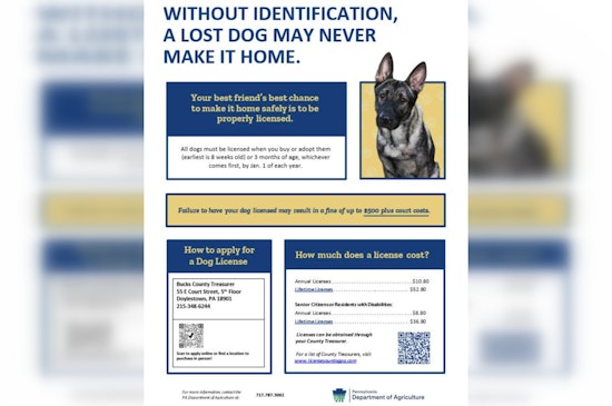 Bensalem Police and Bucks County Treasurer Urge Dog Owners to License Pets or Face Fines