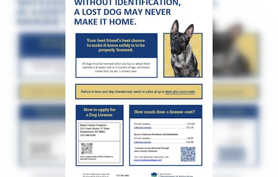 Bensalem Police and Bucks County Treasurer Urge Dog Owners to License Pets or Face Fines
