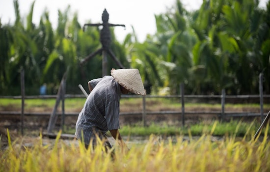 Black Farmers' Heirs Appeal for Right to Inherit Restitution in USDA Discrimination Case