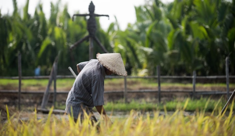 Black Farmers' Heirs Appeal for Right to Inherit Restitution in USDA Discrimination Case