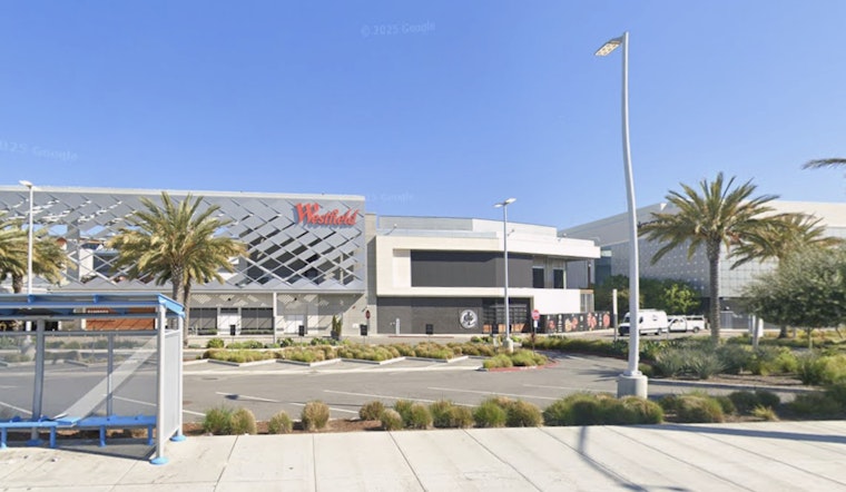Black Friday Bedlam Gunfire at Westfield Valley Fair Mall Leaves Three Injured Including Teen