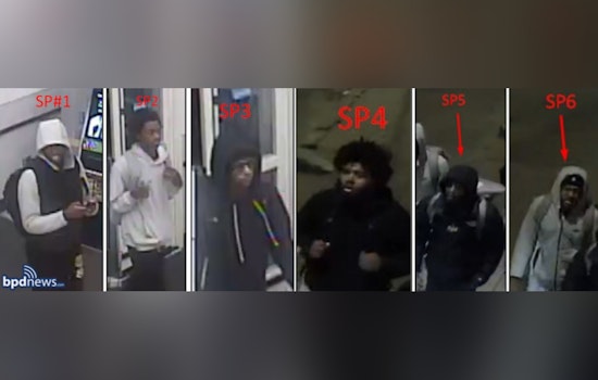 Boston Police Seek Public's Help to Identify Suspects in Blue Hill Avenue Armed Robbery