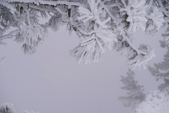 Boston Prepares for Cold Veterans Day with Snow and Strong Winds, Wintry Weekend Coming