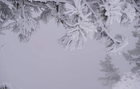 Boston Prepares for Cold Veterans Day with Snow and Strong Winds, Wintry Weekend Coming