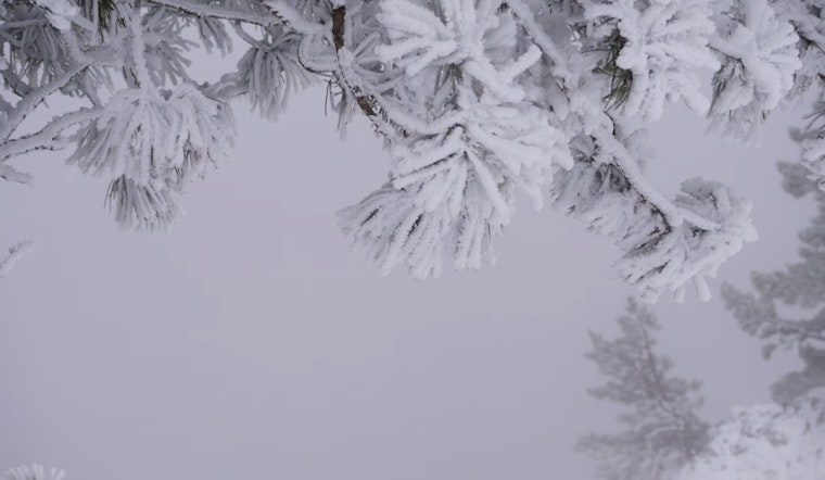 Boston Prepares for Cold Veterans Day with Snow and Strong Winds, Wintry Weekend Coming