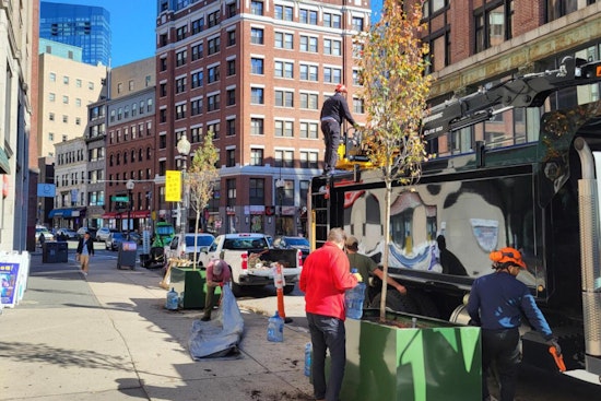 Boston's Chinatown Embraces Above-Ground Planters in Innovative Urban Greening Effort