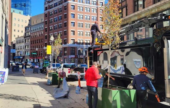 Boston's Chinatown Embraces Above-Ground Planters in Innovative Urban Greening Effort