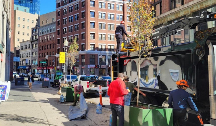 Boston's Chinatown Embraces Above-Ground Planters in Innovative Urban Greening Effort