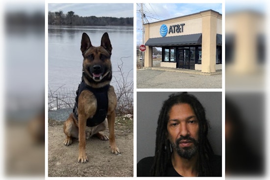 Brockton K-9 Hero Hawks Down Suspects in Armed Robbery at AT&T Store